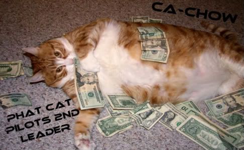 fat-cat1-1.jpg